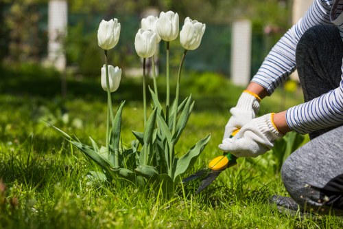 Seasonal garden care activities in Palmers Green