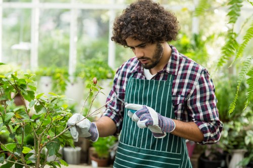 Professional garden clearance service in Palmers Green