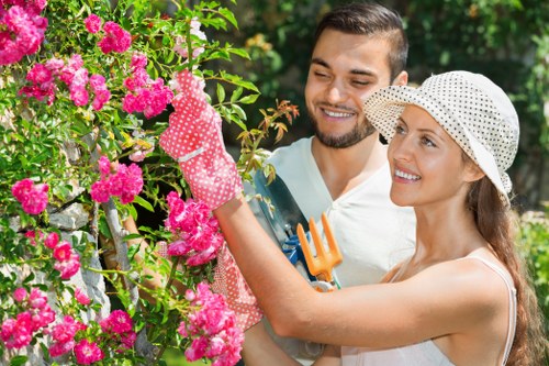 Diverse plant selection for a vibrant garden