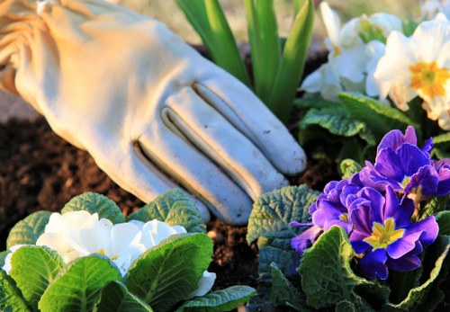 Professional landscaper working on a residential garden in Palmers Green.
