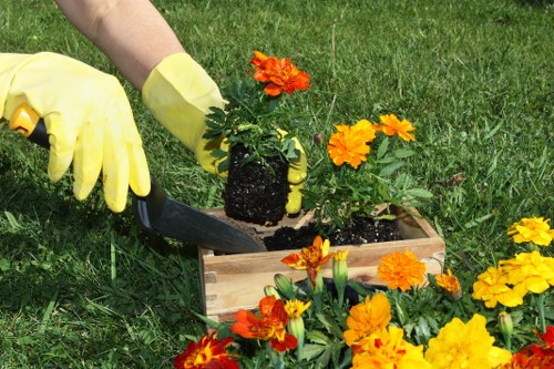 Eco-friendly disposal of garden waste in Palmers Green