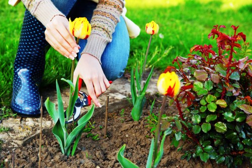 Hardscaping elements enhancing outdoor space