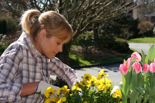 A young woman with blonde hair tied back and wearing a plaid shirt and gardening gloves is tending to a flower bed in a residential garden. The garden features a variety of colorful flowers, including bright yellow blooms and pink tulips, arranged along a paved driveway or walkway. In the background, there are mature trees with bare branches, indicating early spring or late autumn, and well-maintained green lawns. The scene is bathed in natural daylight, suggesting a clear and mild weather day. The surrounding environment appears quiet and suburban, with hedges and bushes framing the garden area. This outdoor space exemplifies a typical landscaped front or backyard, with an emphasis on flower care and garden maintenance, aligning with professional gardening and landscaping services provided by Pressure Washing Palmers Green, offering outdoor beautification and lawn care solutions in the area near Palmers Green postcode.